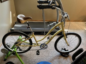 lot 145 image: Womens Trek Pure Bike Mounted on Kinetic Road Machine Trainer