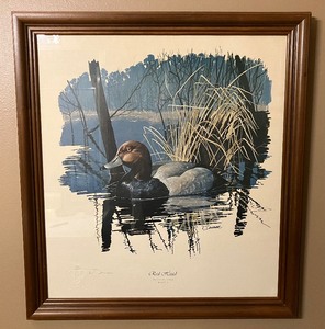 lot 120 image: Red Head (Nyroca Americana) Water Color Print R. Dorman 791000 Artist Signed