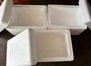 lot 429 image: Three Ecco Box Styrofoam Coolers