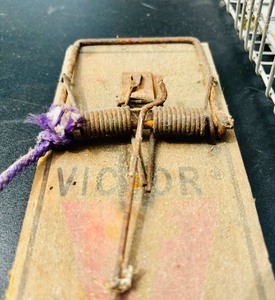 lot 385 image: Trap by Advantek  Victor
