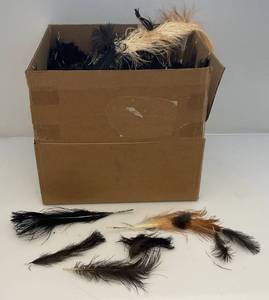 lot 249 image: Bag Of Misc. Ostrich Feathers