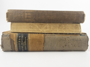 lot 235 image: Group of 3 Antique History Books