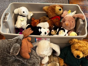 Variety of Stuffed Toys as seen in Photo