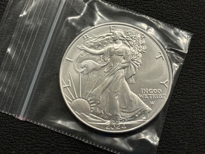 2024 Silver Eagle