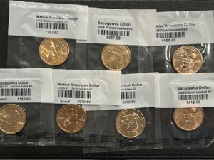Sacagawea and Native American Uncirculated Dollars