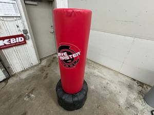 lot 1 image: Punching Bag