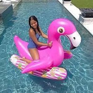 lot 73 image: Members Mark Inflatable Ride On Flamingo Float