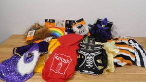 lot 167 image: Lot of 16 Animal Pet Halloween Costumes-Variety