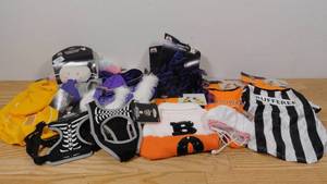 lot 168 image: Lot of 16 Animal Pet Halloween Costumes-Variety