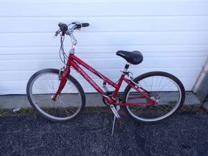 lot 102 image: Trek Navigator 100 21 Speed Bike