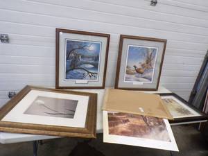 lot 115 image: Wildlife Framed Prints
