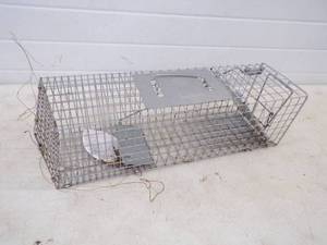 lot 128 image: Live Trap