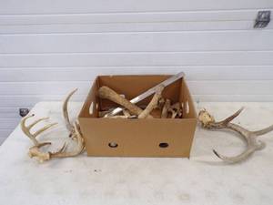 lot 137 image: Antlers and Bones with knife making supples