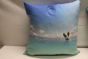 lot 60 image: Set of 2 Decorative Throw Pillows - Beach and Solid Design