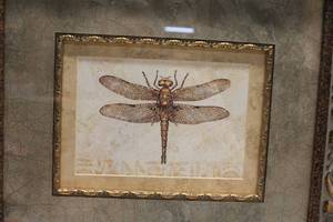 lot 81 image: Pair of Framed Dragonfly Prints