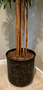 lot 111 image: Faux Bamboo Tree in Metal Look Planter