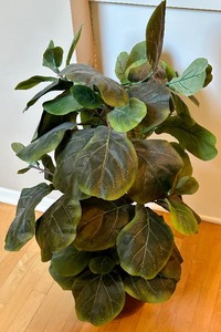 lot 44 image: Petite Faux Plant