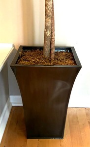lot 25 image: Fine Faux Tree