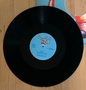 lot 27C image: Sugar Hill U.F.O. and The Message Record Albums