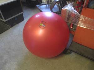 (A-3) Go Fit Exercise Ball ...