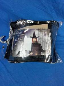 Classic Witch Adult Plus Costume
