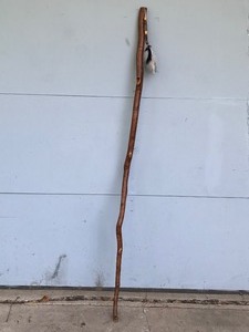 lot 173 image: Hand Carved Walking Stick