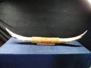 lot 4 image: Steer horns