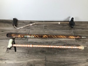 lot 573 image: 3 - Walking Sticks