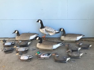 lot 576 image: Goose & Duck Decoys