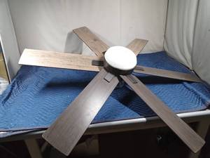 lot 524 image: Ceiling fan and light