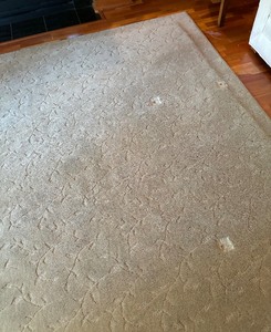lot 37C image: Extraordinary Extra Large Area Rug