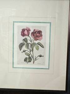 lot 62 image: Nicolas Robert Print Rose Botanical