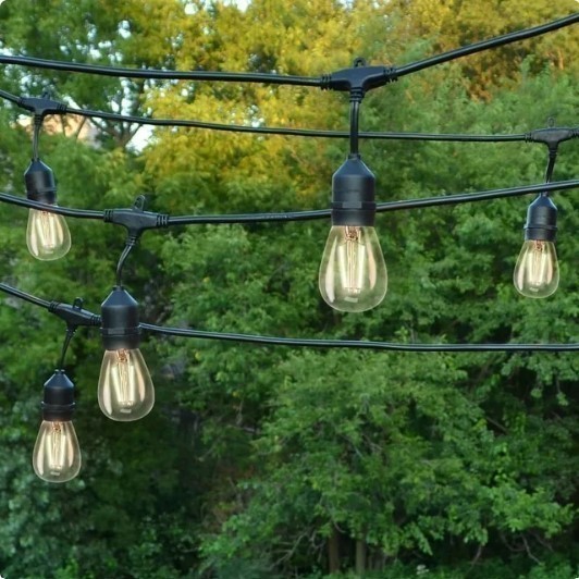 lot 833 image: NEW Living Accents LED Edison Vintage Light Set Warm White 18 ft 10 lights
