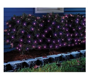 lot 343 image: NEW Celebrations Purple LED Net-Style Lights