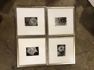 StyleWell Silver Modern Frame with White Matte Gallery Wall Picture Frames (Set of 4) Customer Returns See Pictures