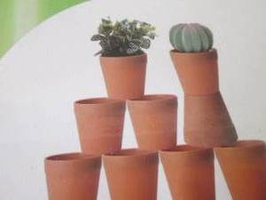 lot 296 image: 20 Small Succulent Pots...