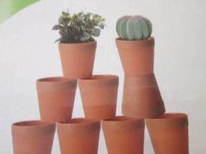 lot 297 image: 20 Small Succulent Pots...