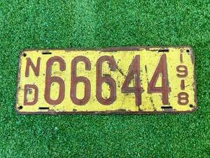 lot 11 image: 1918 ND Plate - 666