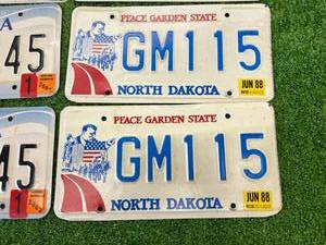 lot 152 image: Matched Pairs License Plates