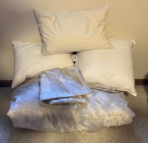 lot 217 image: Pillow and Bedding Lot