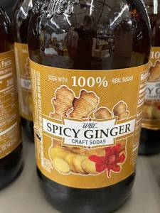 lot 1 image: WBC Spicy Ginger Craft Sodas - Pack of 6 (16 fl oz each)