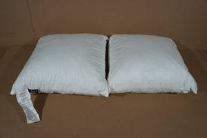 lot 29 image: 2 Basic Home 18x18 Throw Pillows