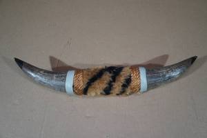 lot 94 image: Vintage Style Texas 20 Longhorn Horns