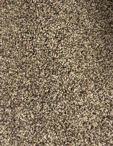 lot 38 image: 12 x 188 (224 Sq Ft) Karastan Summertree Golden Coast Carpet Remnant