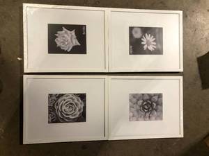 lot 45 image: StyleWell 16 x 20 Matted to 8 x 10 White Gallery Wall Picture Frame (Set of 4)  Customer Returns See Pictures