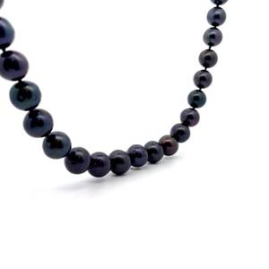 Tahitian Cultured Pearl Single Strand Necklace w 14k White Gold Clasp