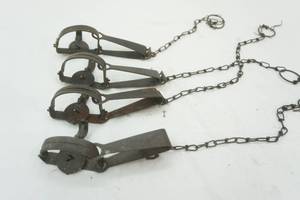 Victory #1 animal traps