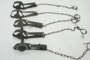 Victory #1 animal traps