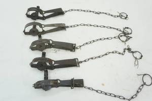 Victory #1 animal traps