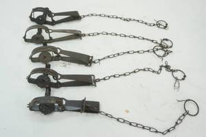 Victory #1 animal traps